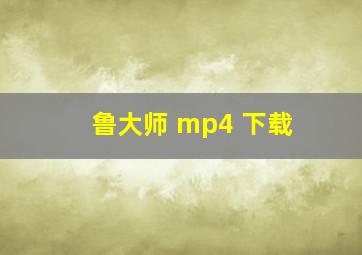 鲁大师 mp4 下载